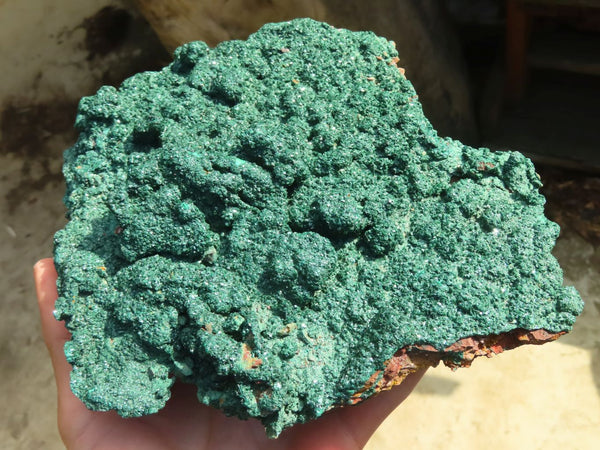 Natural Extra Large Crystalline Malachite Specimen x 1 From Congo - Toprock Gemstones and Minerals 