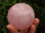 Polished Pink Rose Quartz Spheres  x 2 From Madagascar - Toprock Gemstones and Minerals 