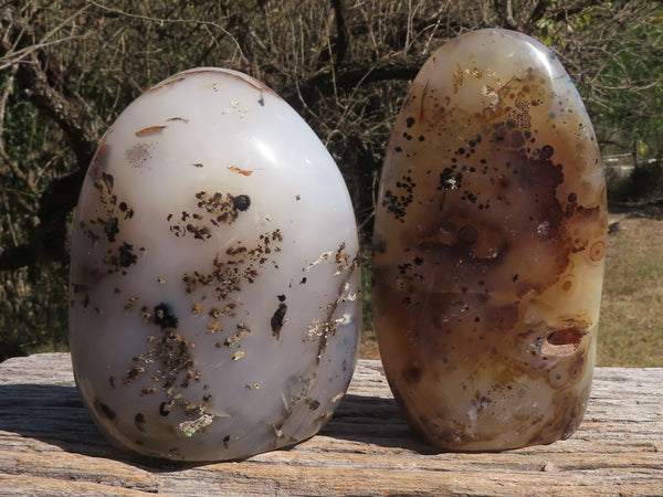 Polished Dendritic Agate Standing Free Forms  x 3 From Moralambo, Madagascar - TopRock