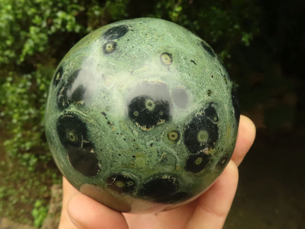 Polished Stromatolite / Kambamba Jasper Spheres  x 3 From Madagascar - TopRock