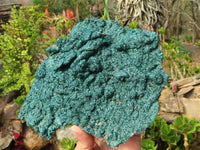Natural Extra Large Crystalline Malachite Specimen x 1 From Congo - Toprock Gemstones and Minerals 