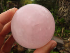 Polished Pink Rose Quartz Spheres  x 2 From Madagascar - Toprock Gemstones and Minerals 