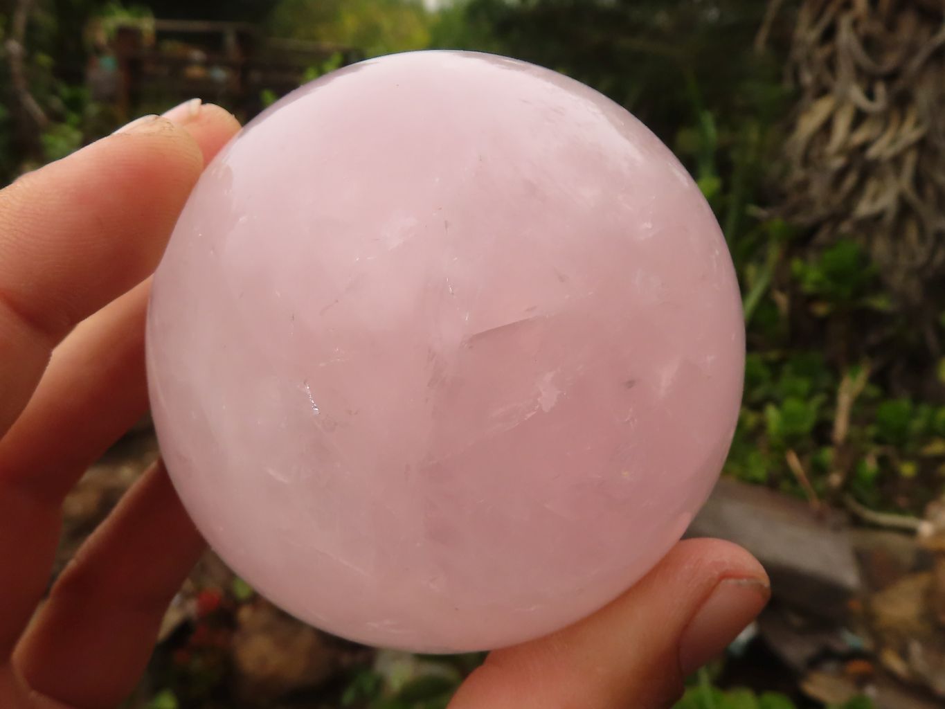 Polished Pink Rose Quartz Spheres  x 2 From Madagascar - Toprock Gemstones and Minerals 