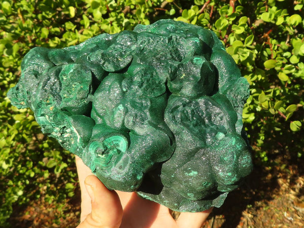 Natural Crystalline Botryoidal Malachite Specimen x 1 From Congo - Toprock Gemstones and Minerals 