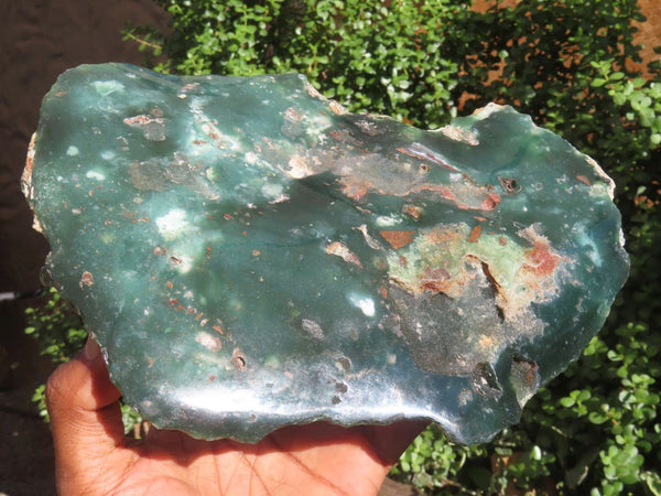 Polished One Side Polished Mtorolite / Emerald Chrysoprase Specimen  x 1 From Zimbabwe - Toprock Gemstones and Minerals 
