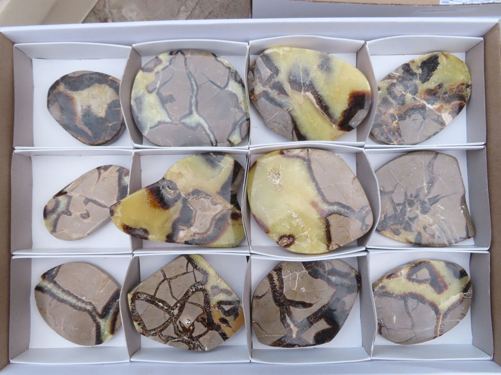 Polished Septerye (Aragonite & Calcite) Slices x 12 From Mahajanga, Madagascar - TopRock