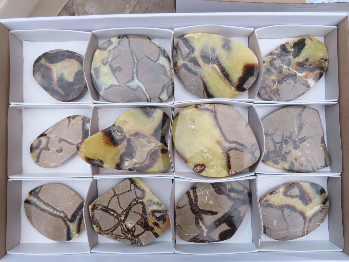 Polished Septerye (Aragonite & Calcite) Slices x 12 From Mahajanga, Madagascar - TopRock