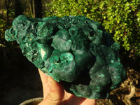 Natural Crystalline Botryoidal Malachite Specimen x 1 From Congo - Toprock Gemstones and Minerals 