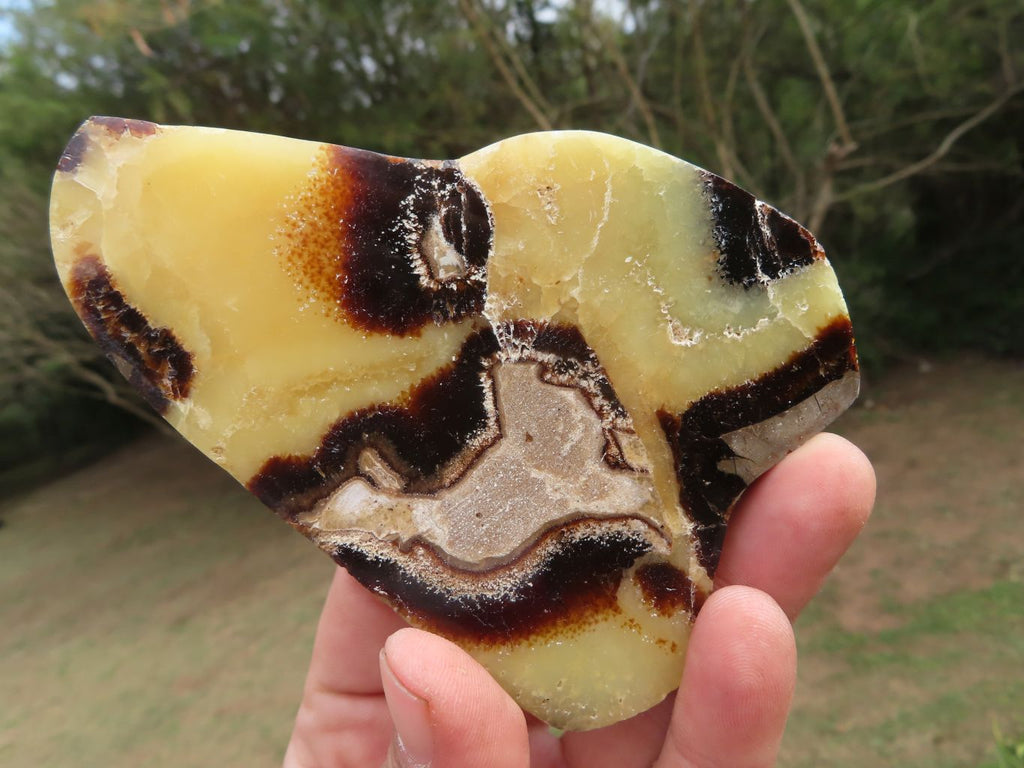 Polished Septerye (Aragonite & Calcite) Slices x 12 From Mahajanga, Madagascar - TopRock