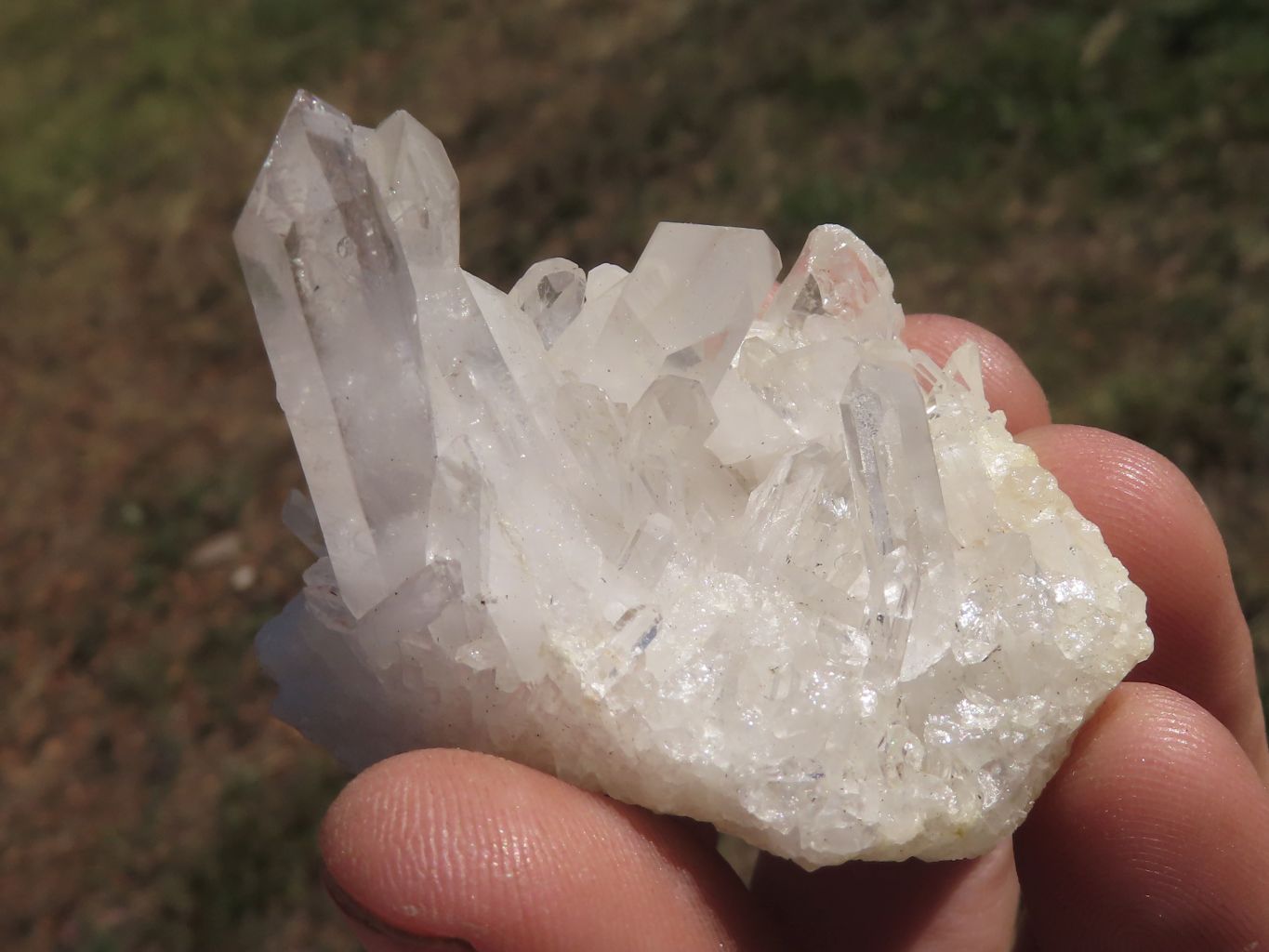 Natural Mixed Selection Of Small Quartz Clusters  x 24 From Madagascar - TopRock