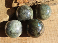Polished Lovely Labradorite Spheres  x 4 From Tulear, Madagascar - Toprock Gemstones and Minerals 