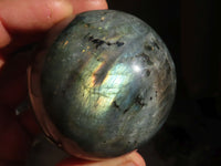 Polished Lovely Labradorite Spheres  x 4 From Tulear, Madagascar - Toprock Gemstones and Minerals 
