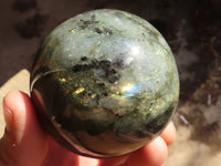 Polished Lovely Labradorite Spheres  x 4 From Tulear, Madagascar - Toprock Gemstones and Minerals 