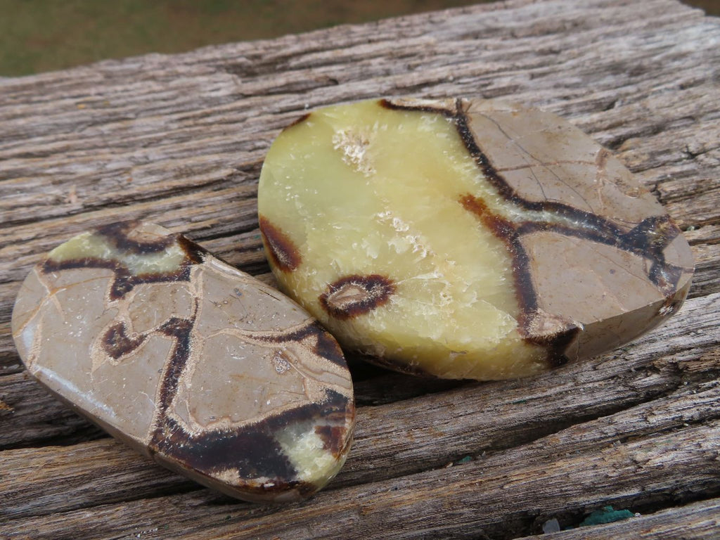 Polished Septerye (Aragonite & Calcite) Slices x 12 From Mahajanga, Madagascar - TopRock