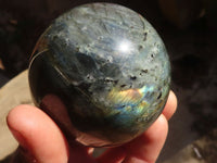 Polished Lovely Labradorite Spheres  x 4 From Tulear, Madagascar - Toprock Gemstones and Minerals 