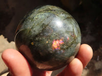 Polished Lovely Labradorite Spheres  x 4 From Tulear, Madagascar - Toprock Gemstones and Minerals 