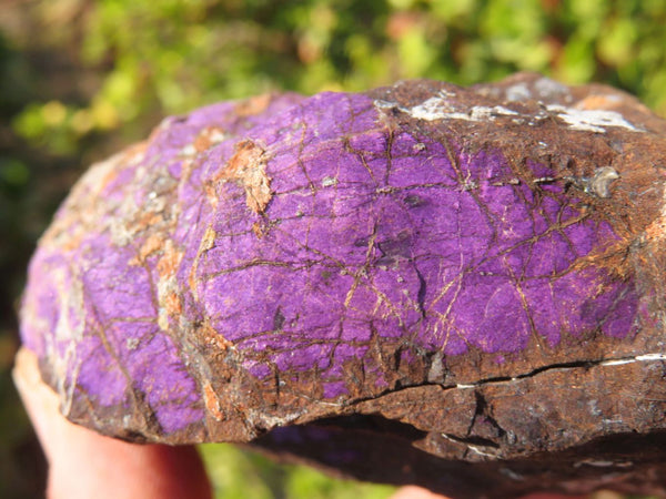 Natural Deep Purple Purpurite Specimens x 5 From Namibia - TopRock
