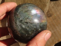 Polished Lovely Labradorite Spheres  x 4 From Tulear, Madagascar - Toprock Gemstones and Minerals 