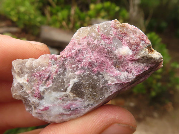 Natural Rough Rubellite Pink Tourmaline In Matrix Specimens  x 24 From Madagascar - Toprock Gemstones and Minerals 