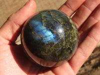 Polished Lovely Labradorite Spheres  x 4 From Tulear, Madagascar - Toprock Gemstones and Minerals 