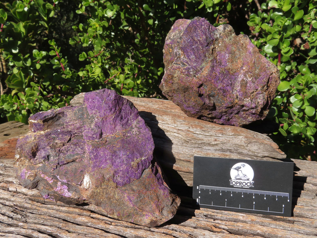 Natural Rough Purpurite Specimens x 2 From Erongo, Namibia - TopRock