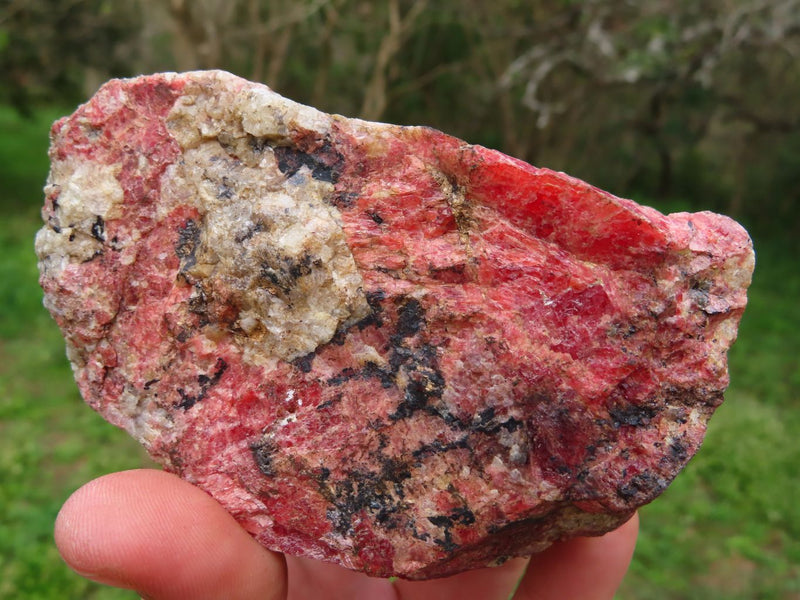 Natural Rough Red Rhodonite Specimens x 2 From Zimbabwe Toprock