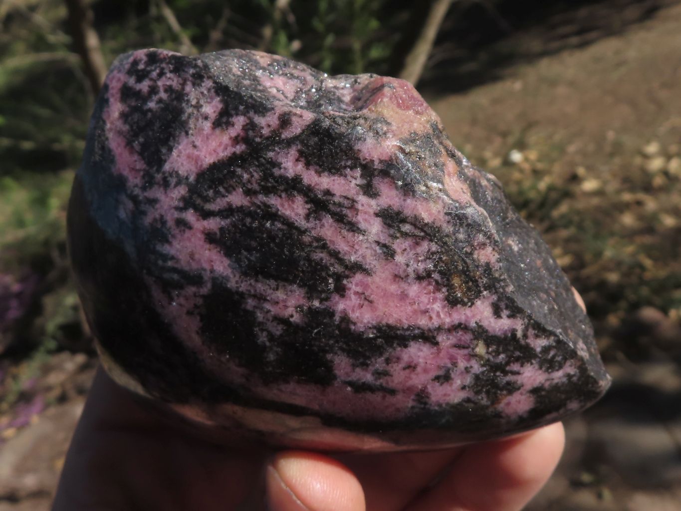 Polished One Side Polished Rhodonite Free Forms  x 4 From Madagascar - TopRock