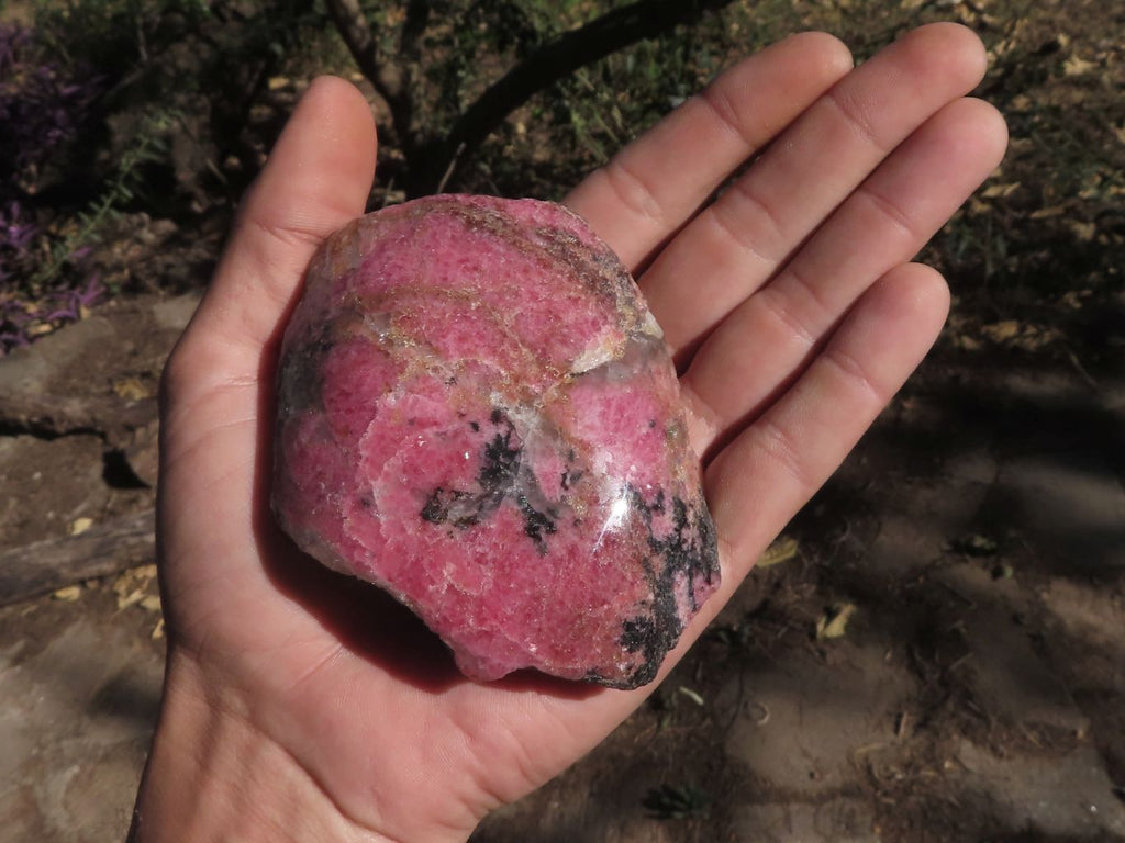 Polished One Side Polished Rhodonite Free Forms  x 4 From Madagascar - TopRock