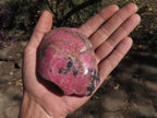 Polished One Side Polished Rhodonite Free Forms  x 4 From Madagascar - TopRock