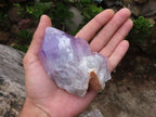 Natural Jacaranda Amethyst Clusters  x 6 From Mumbwa, Zambia - Toprock Gemstones and Minerals 