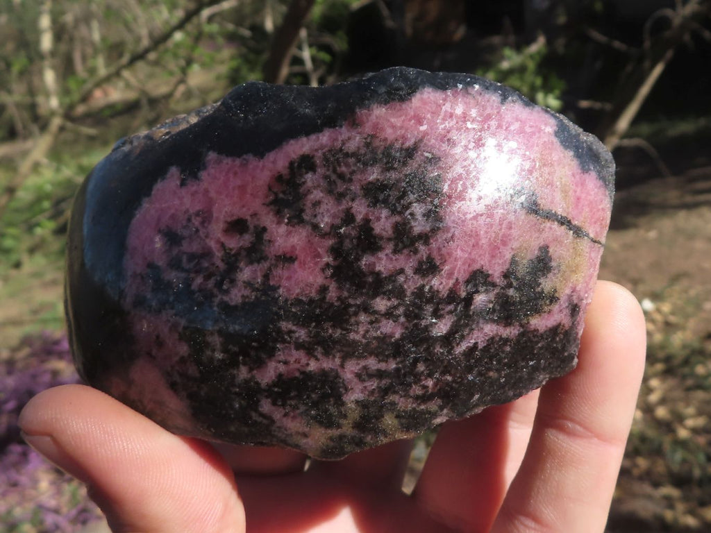 Polished One Side Polished Rhodonite Free Forms  x 4 From Madagascar - TopRock