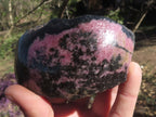 Polished One Side Polished Rhodonite Free Forms  x 4 From Madagascar - TopRock