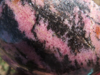 Polished One Side Polished Rhodonite Free Forms  x 4 From Madagascar - TopRock