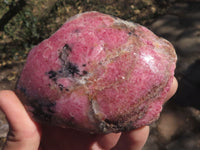 Polished One Side Polished Rhodonite Free Forms  x 4 From Madagascar - TopRock
