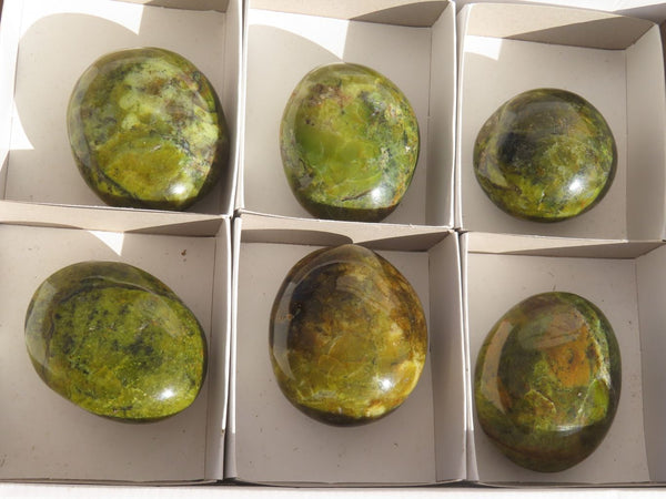 Polished Green Opal Palm Stones  x 6 From Antsirabe, Madagascar