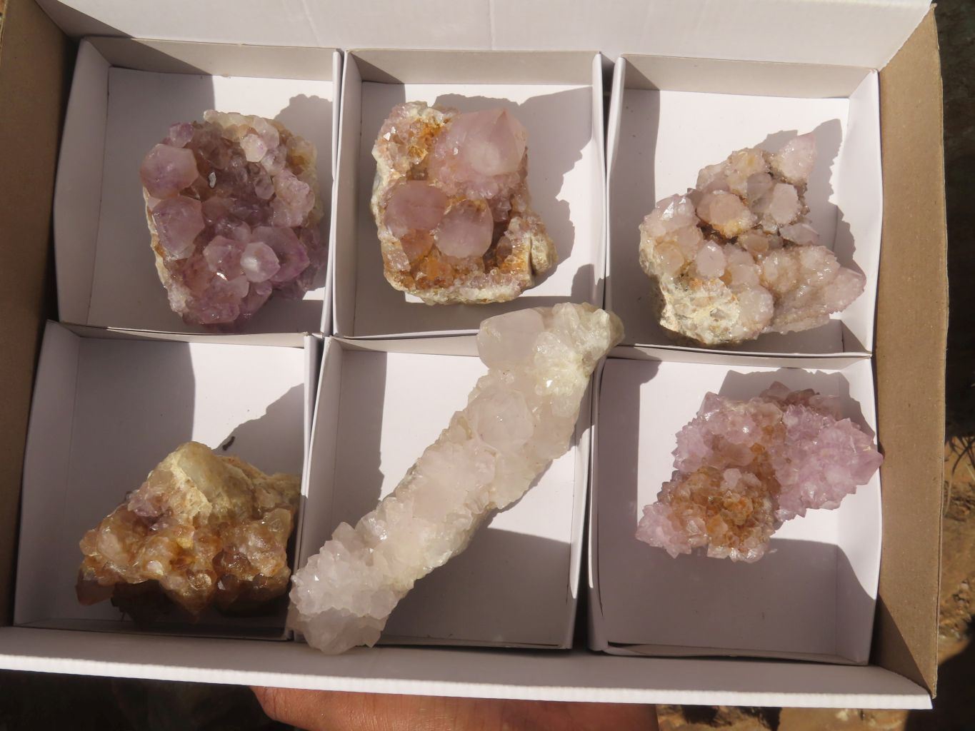 Natural Mixed Spirit Amethyst Quartz Clusters  x 6 From Boekenhouthoek, South Africa - Toprock Gemstones and Minerals 