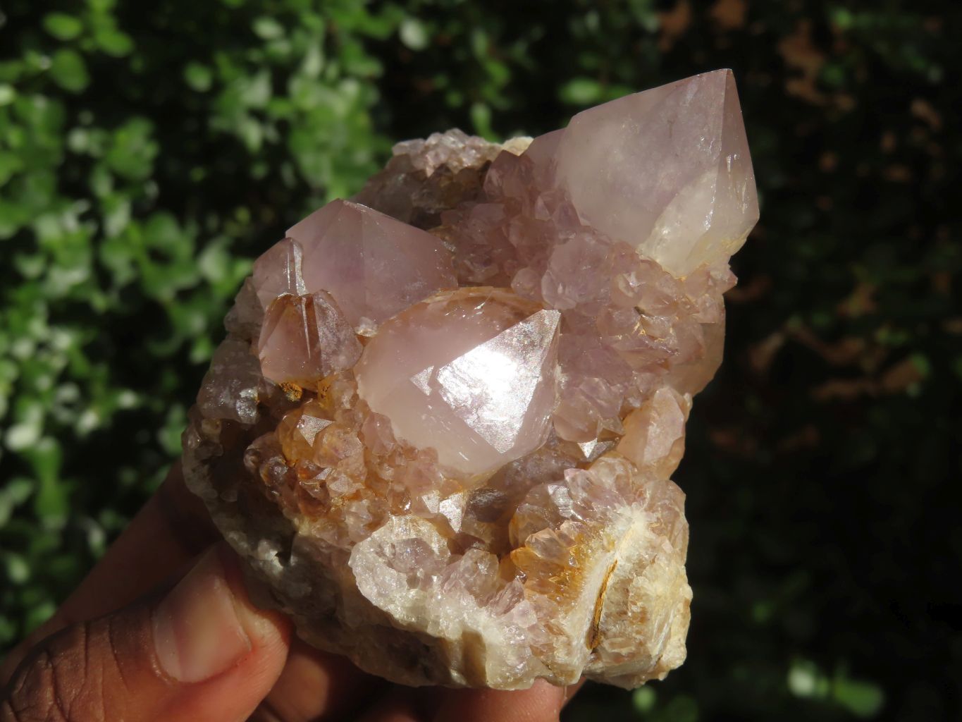 Natural Mixed Spirit Amethyst Quartz Clusters  x 6 From Boekenhouthoek, South Africa - Toprock Gemstones and Minerals 