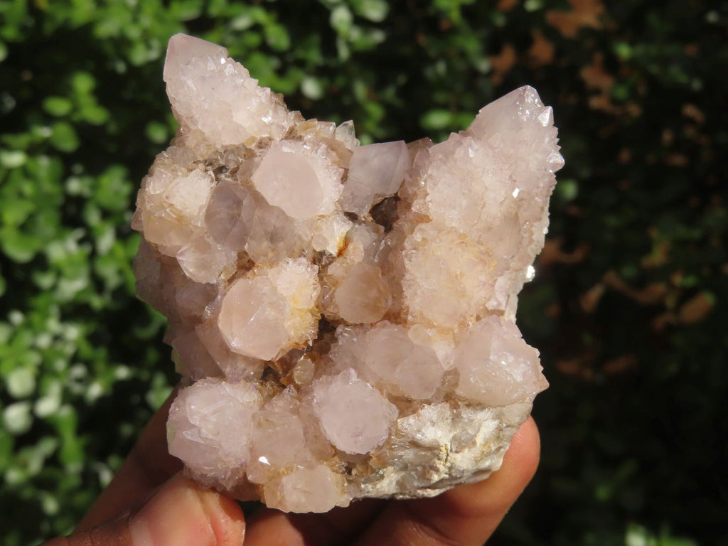 Natural Mixed Spirit Amethyst Quartz Clusters  x 6 From Boekenhouthoek, South Africa - Toprock Gemstones and Minerals 