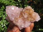 Natural Mixed Spirit Amethyst Quartz Clusters  x 6 From Boekenhouthoek, South Africa - Toprock Gemstones and Minerals 
