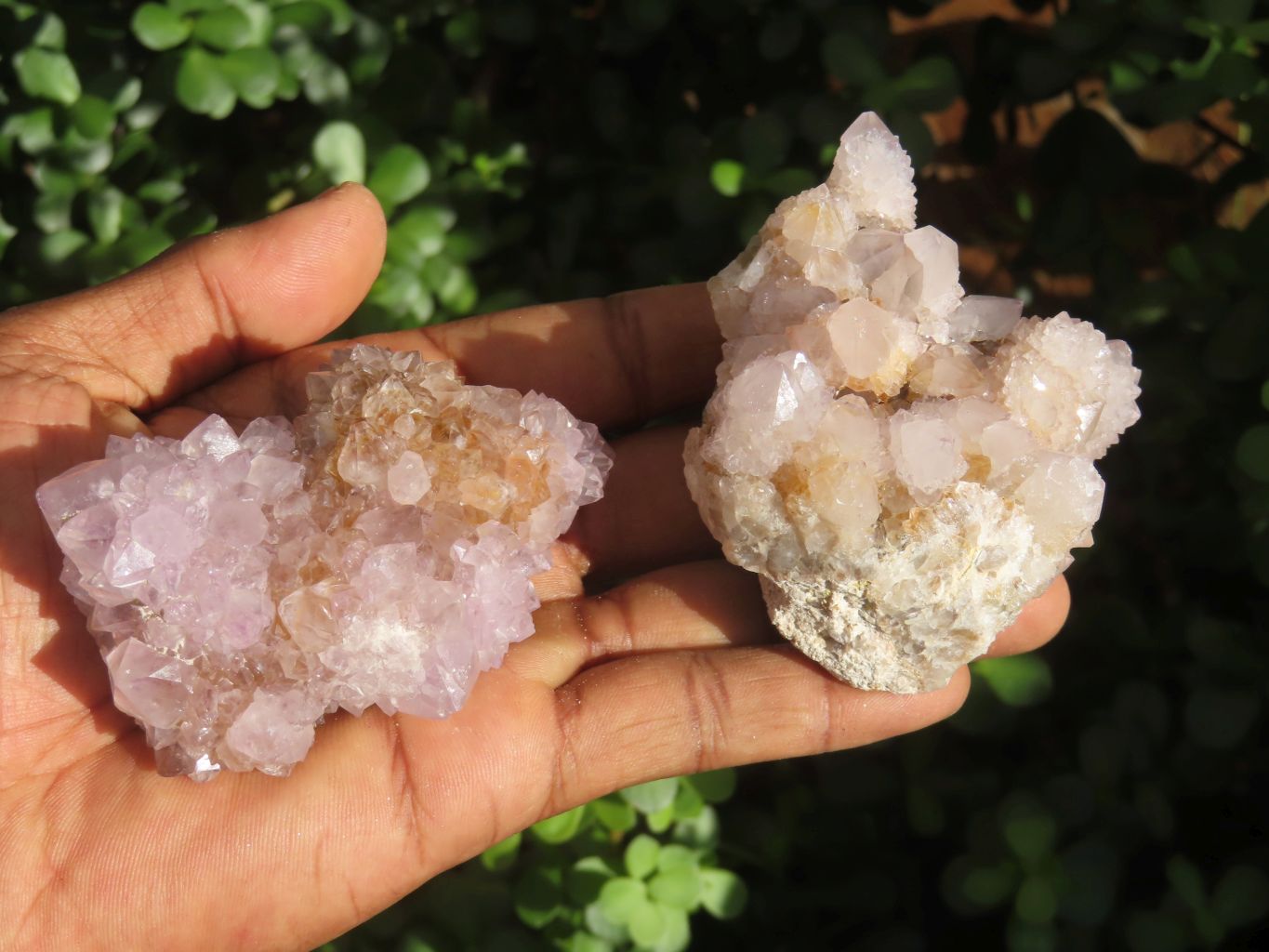 Natural Mixed Spirit Amethyst Quartz Clusters  x 6 From Boekenhouthoek, South Africa - Toprock Gemstones and Minerals 