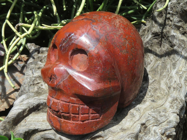 Polished Red Jasper Extra Large Skull Carving x 1 From Zimbabwe - TopRock