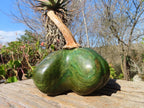 Polished Green Verdite Pumpkin Carving  x 1 From Zimbabwe - Toprock Gemstones and Minerals 