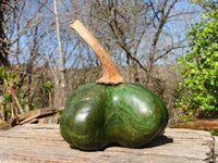 Polished Green Verdite Pumpkin Carving  x 1 From Zimbabwe