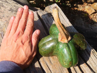 Polished Green Verdite Pumpkin Carving  x 1 From Zimbabwe