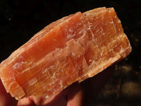 Natural New Sunset Orange Calcite Specimens  x 4 From Spitzkop, Namibia - Toprock Gemstones and Minerals 