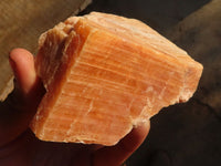 Natural New Sunset Orange Calcite Specimens  x 4 From Spitzkop, Namibia - Toprock Gemstones and Minerals 