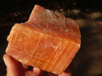 Natural New Sunset Orange Calcite Specimens  x 4 From Spitzkop, Namibia - Toprock Gemstones and Minerals 
