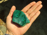 Polished Malachite Free Forms x 6 From Congo - Toprock Gemstones and Minerals 