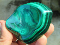 Polished Malachite Free Forms x 6 From Congo - Toprock Gemstones and Minerals 