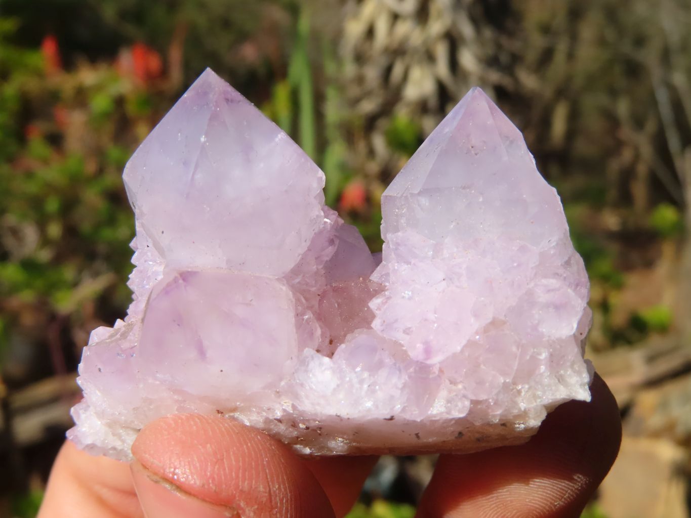Natural Pale Lilac Spirit Quartz Clusters x 12 From Boekenhouthoek, South Africa - Toprock Gemstones and Minerals 